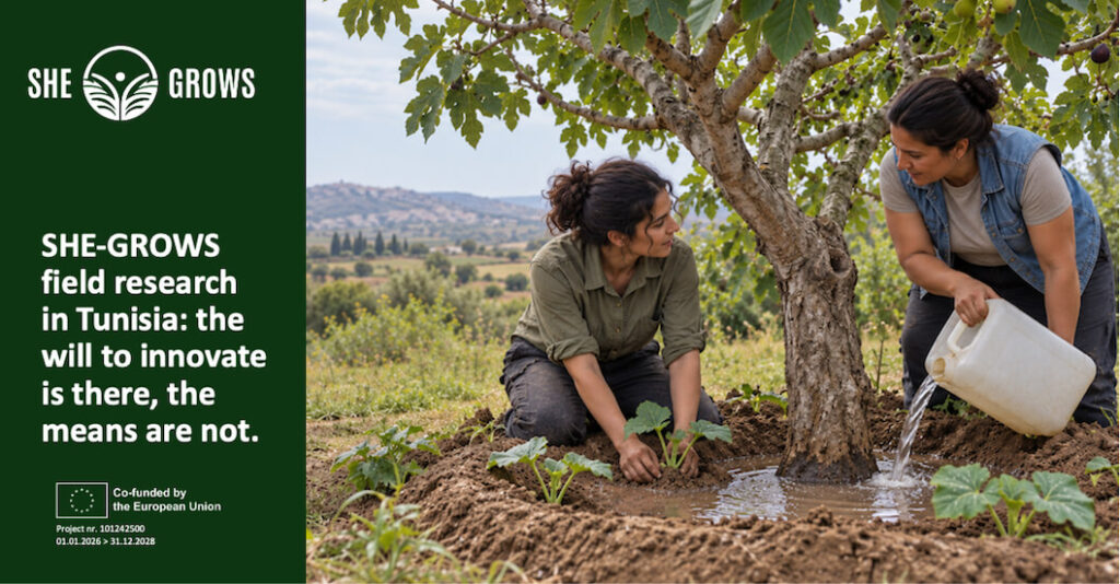 SHE-GROWS field research in Tunisia: the will to innovate is there, the means are not